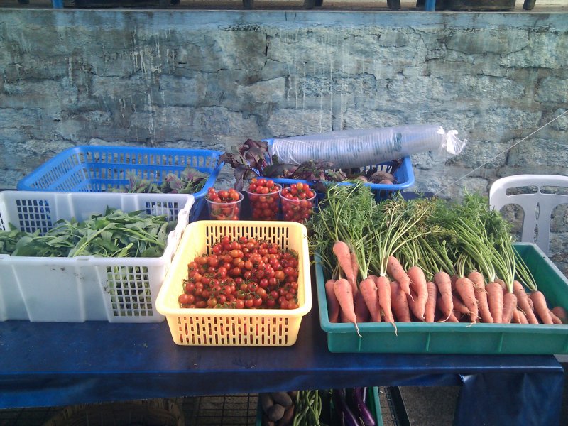 Picture preview