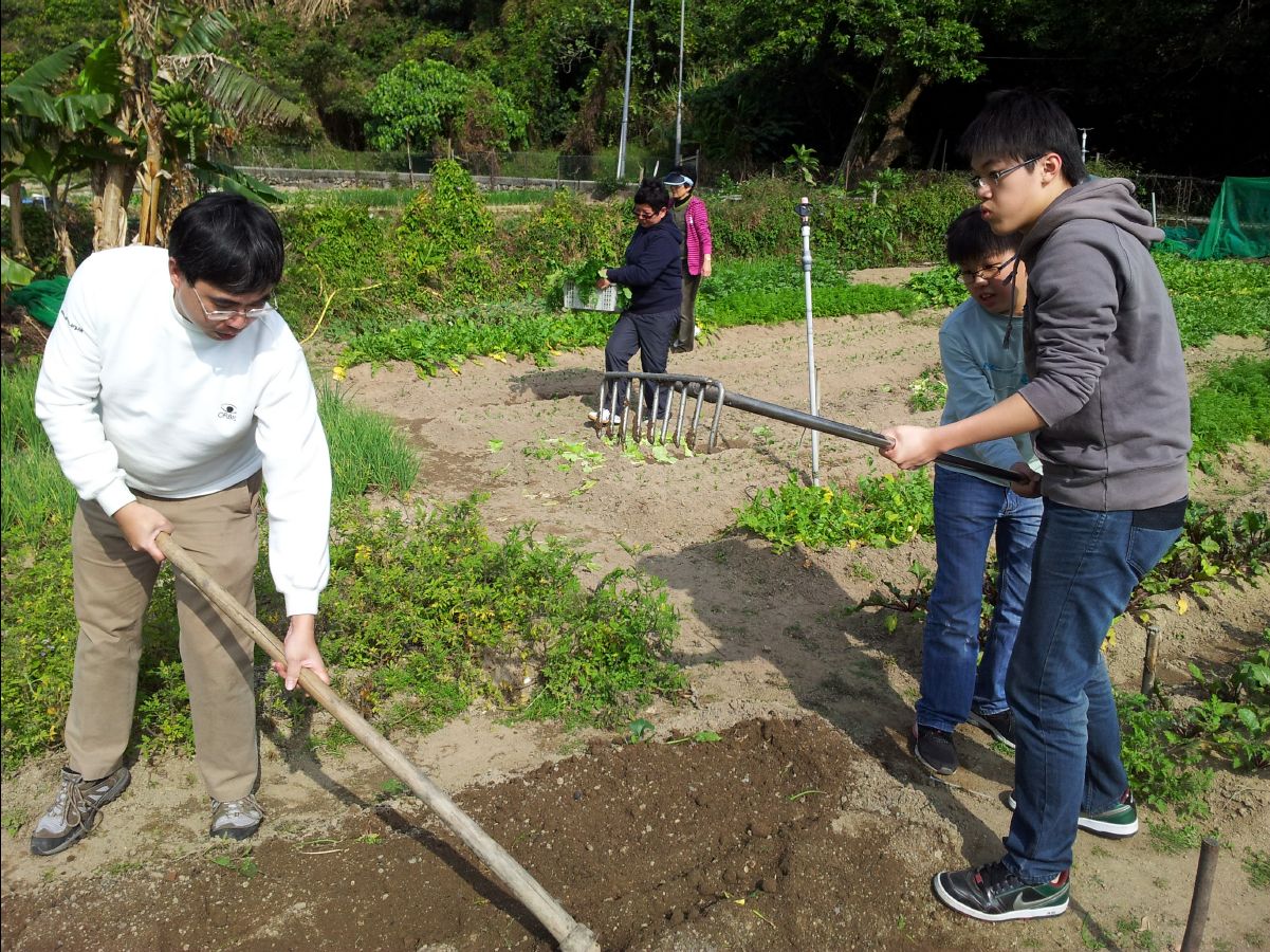 20120212Organic-Farm28