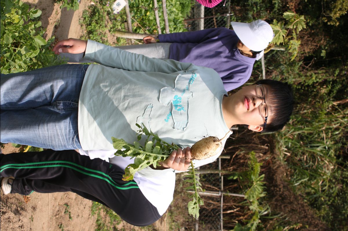 20120212Organic-Farm45