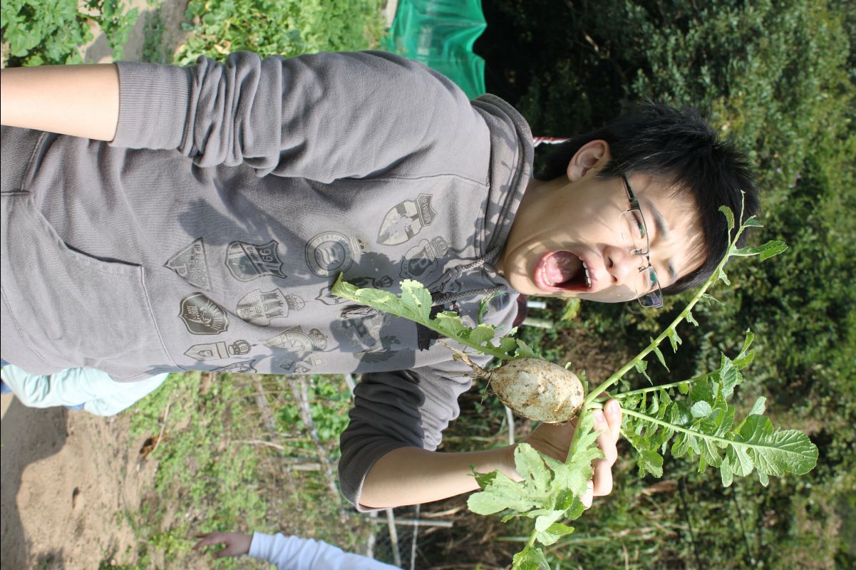 20120212Organic-Farm46