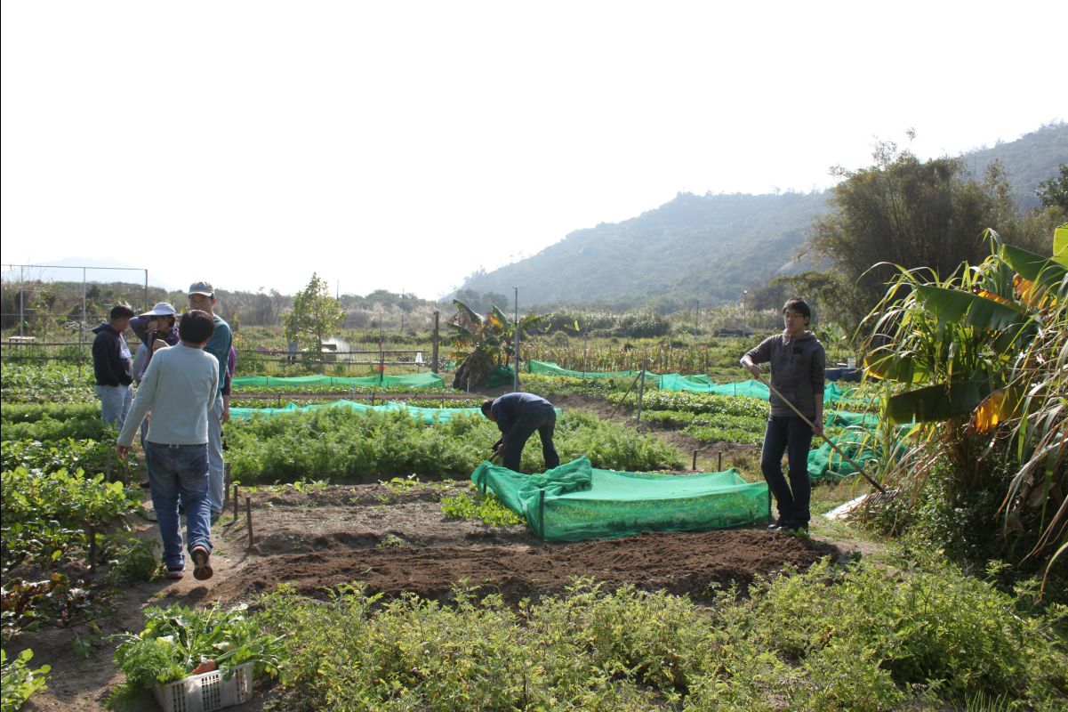 20120212Organic-Farm55