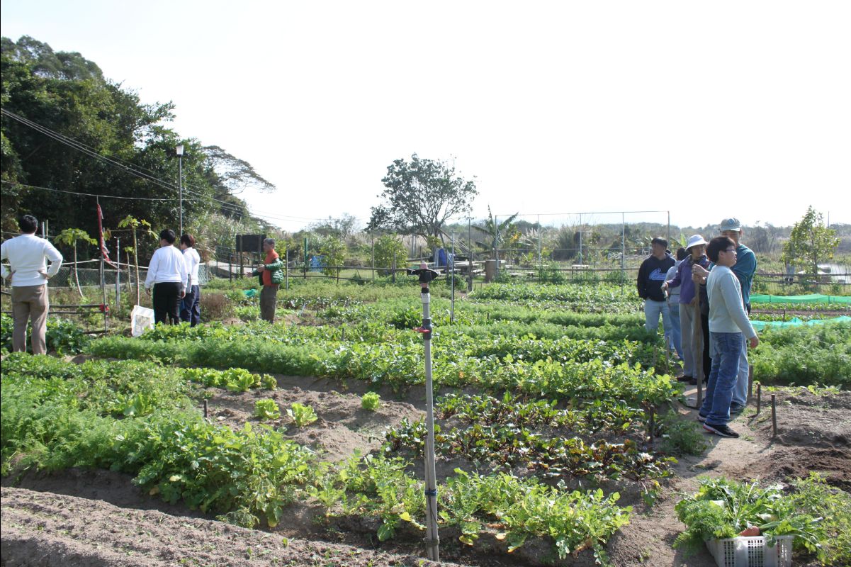 20120212Organic-Farm56