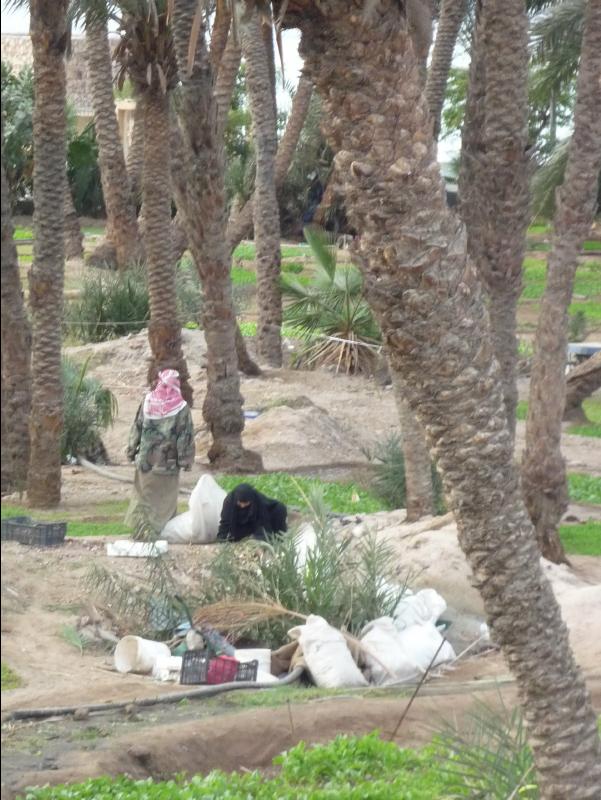 Aqaba25