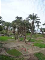 Aqaba26