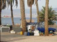 Aqaba29