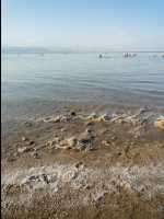 Dead_Sea64