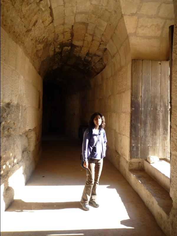 Jerash_Roman_Ruin61