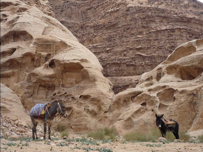 Ad-Deir-Monastery_the_climb31