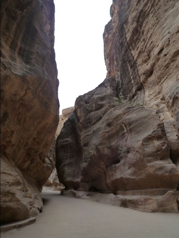 Petra026