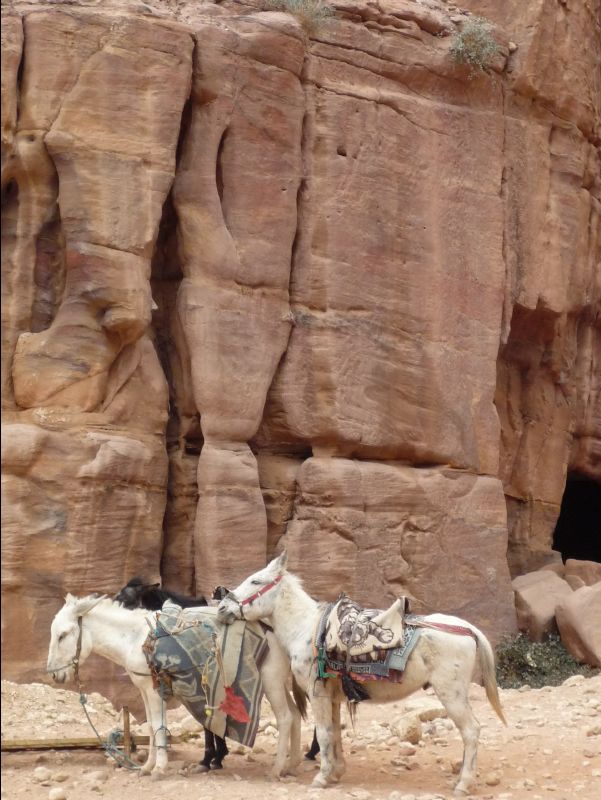 Petra058