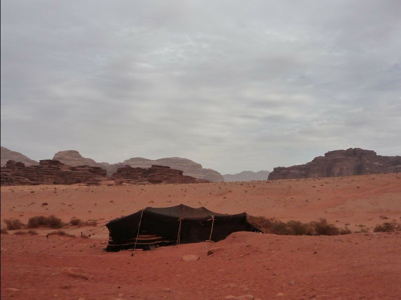 Wadirum24