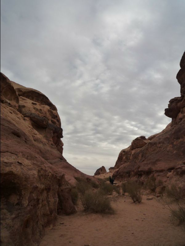 Wadirum32