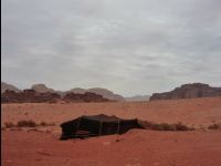 Wadirum24