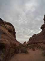 Wadirum32