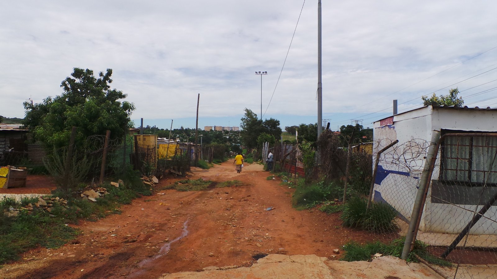 Motsoaledi04