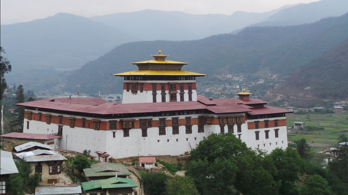 Paro113