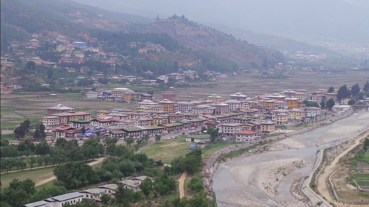 Paro115