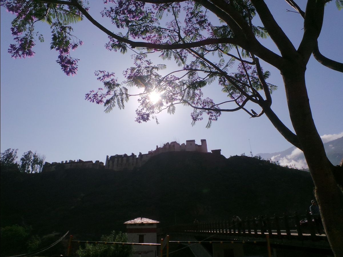 Punakha104