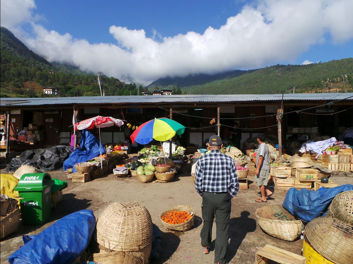 Punakha109