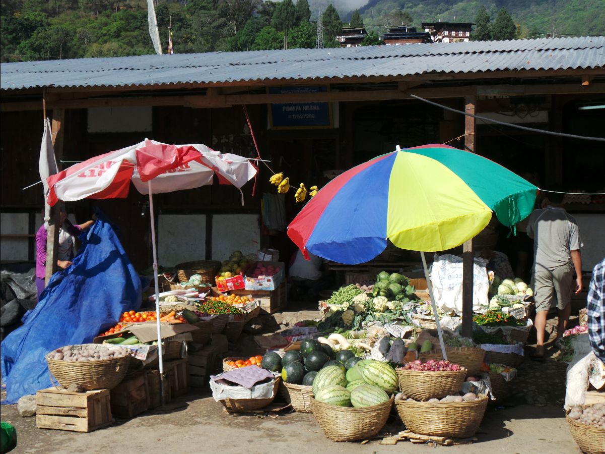 Punakha110