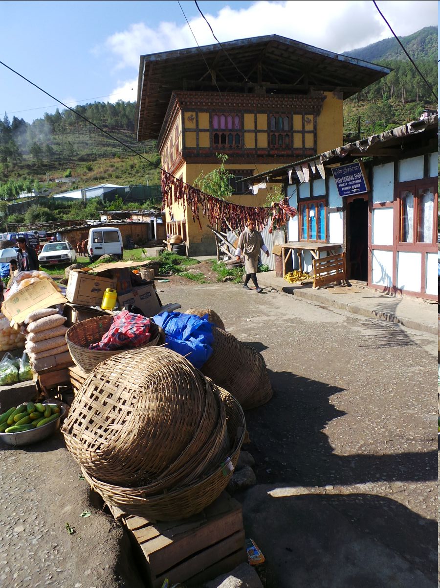 Punakha113