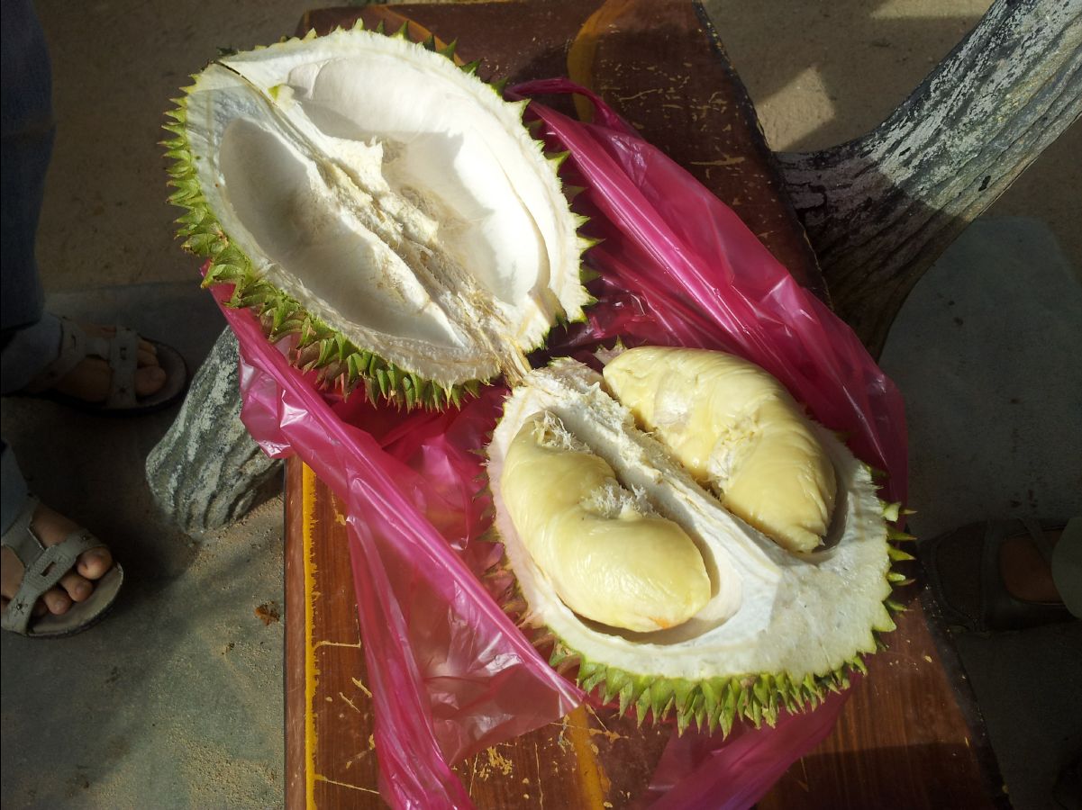 Penang65