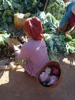 Heho_Market14