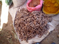 Heho_Market16
