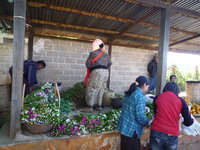 Heho_Market23
