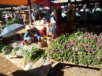 Heho_Market24