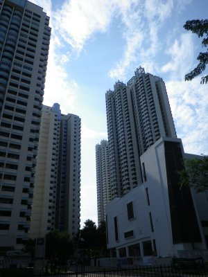 040-hdb07.jpg.medium.jpeg