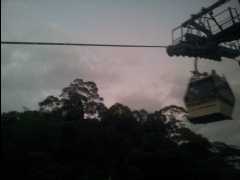 MaoKong06