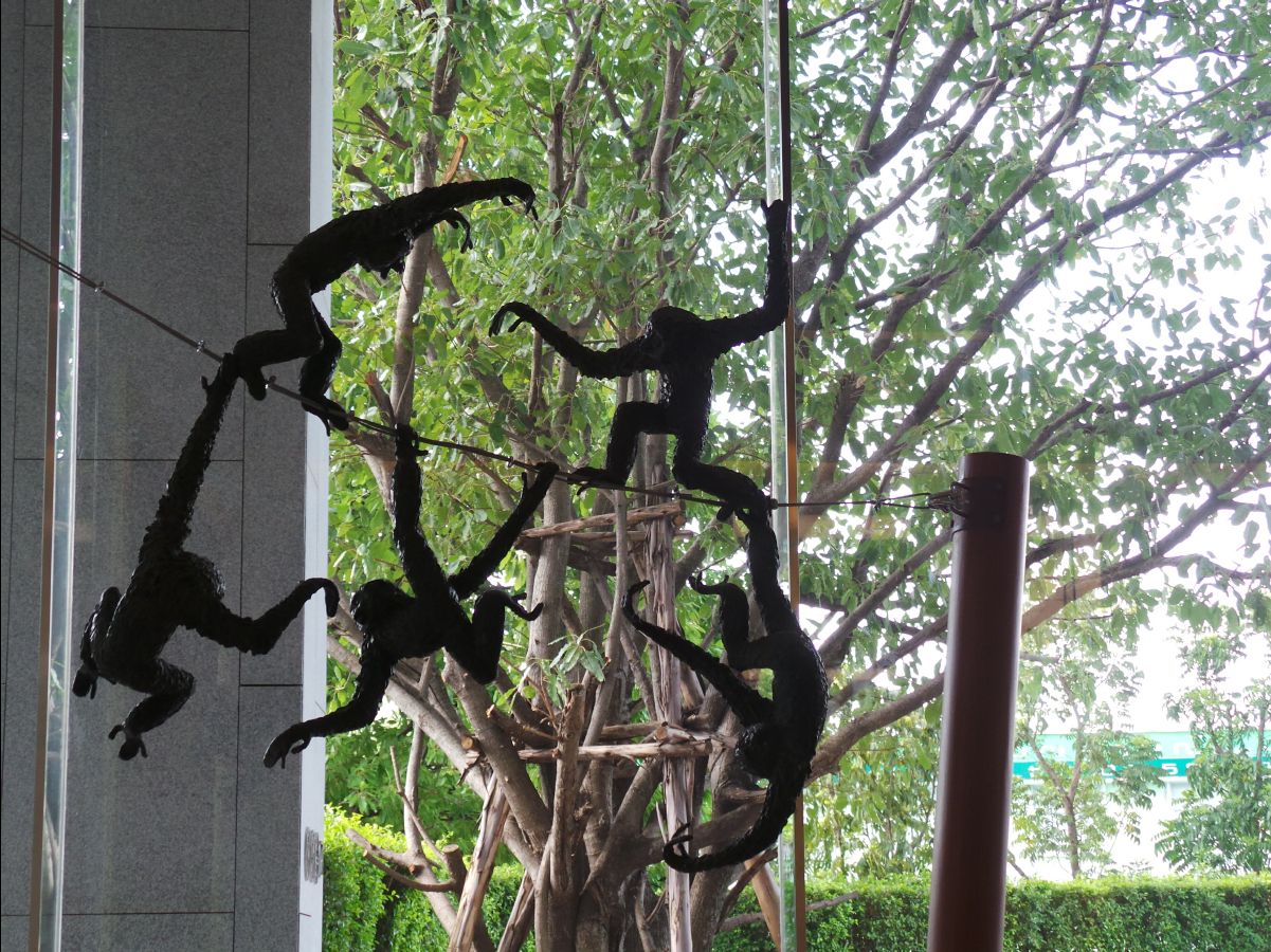 MOCA20