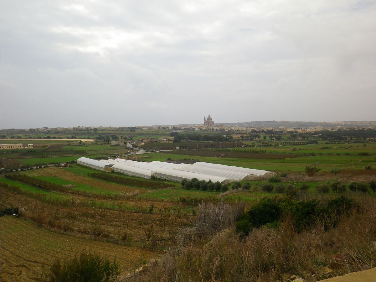 Gozo006