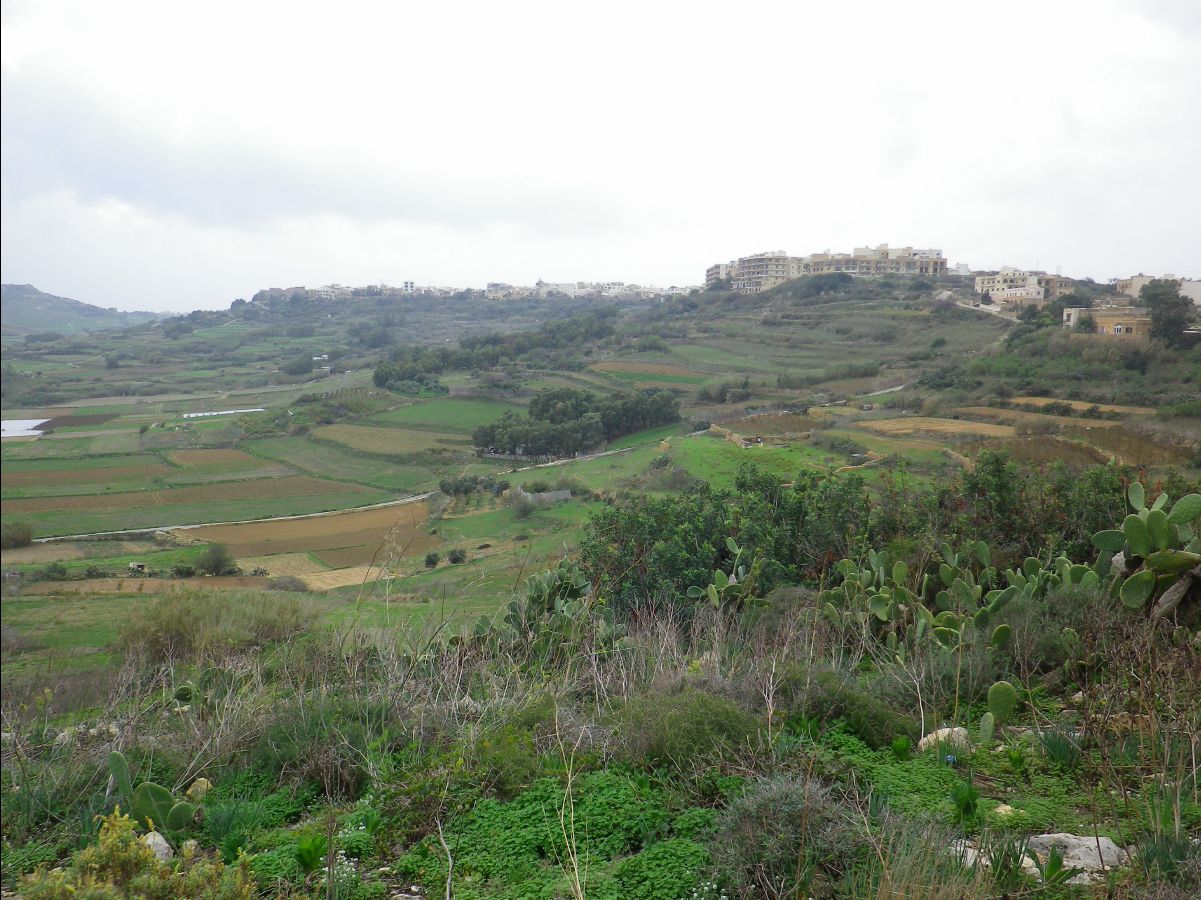 Gozo009