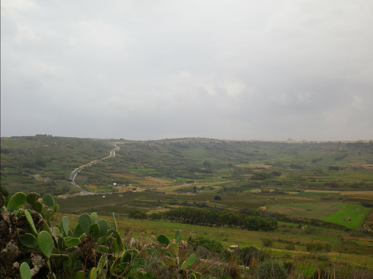 Gozo010