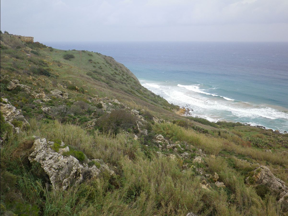 Gozo018