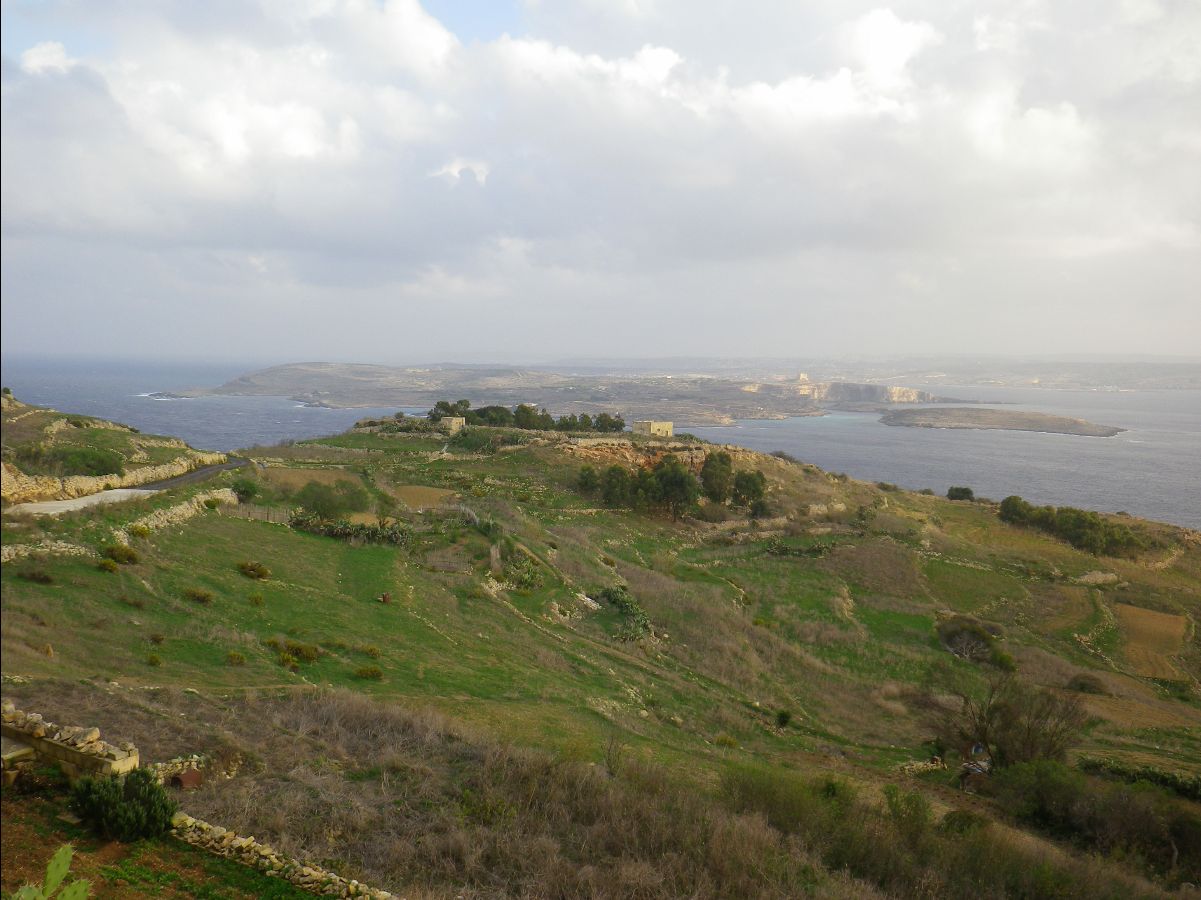 Gozo136
