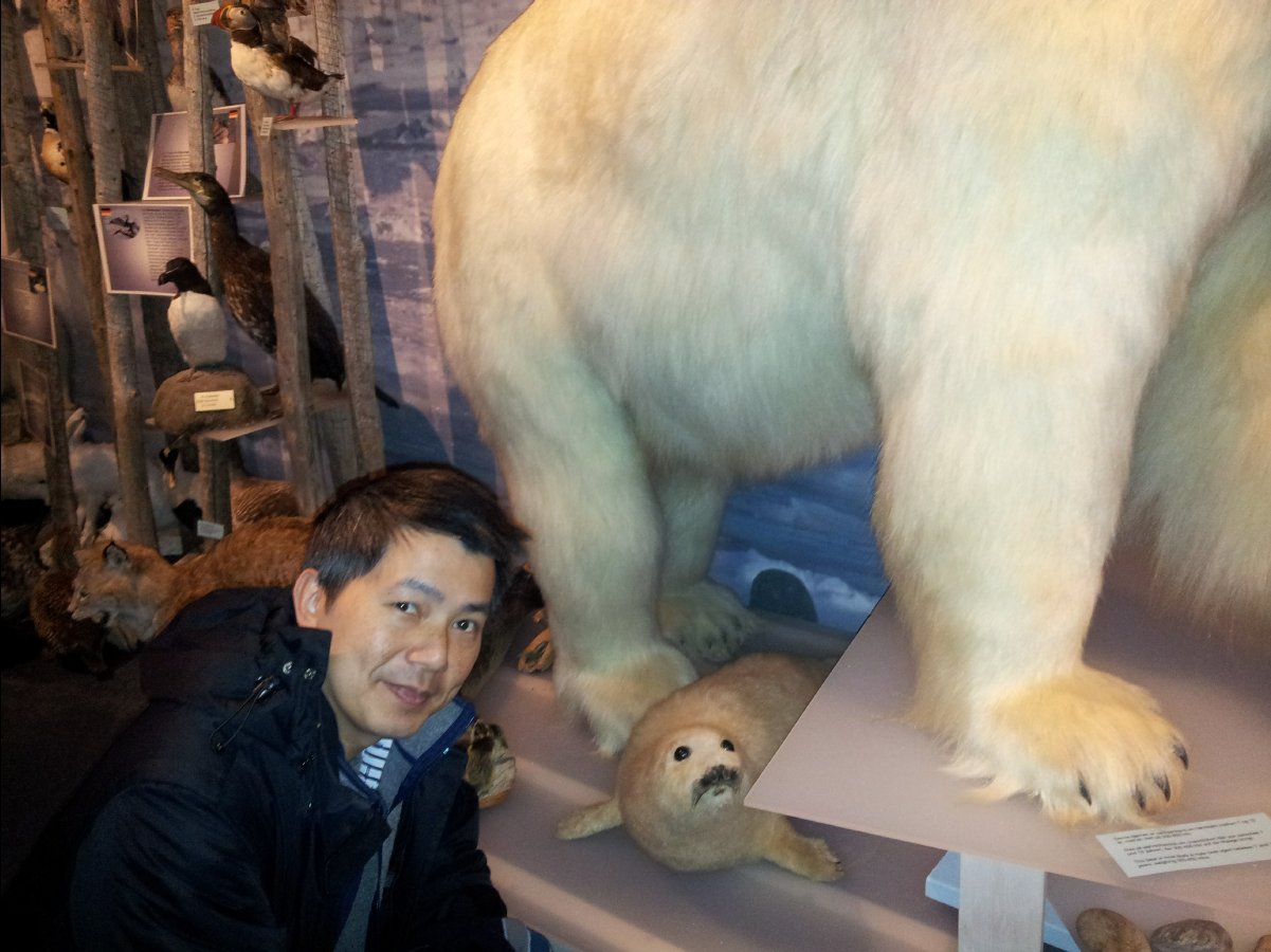 Hammerfest08