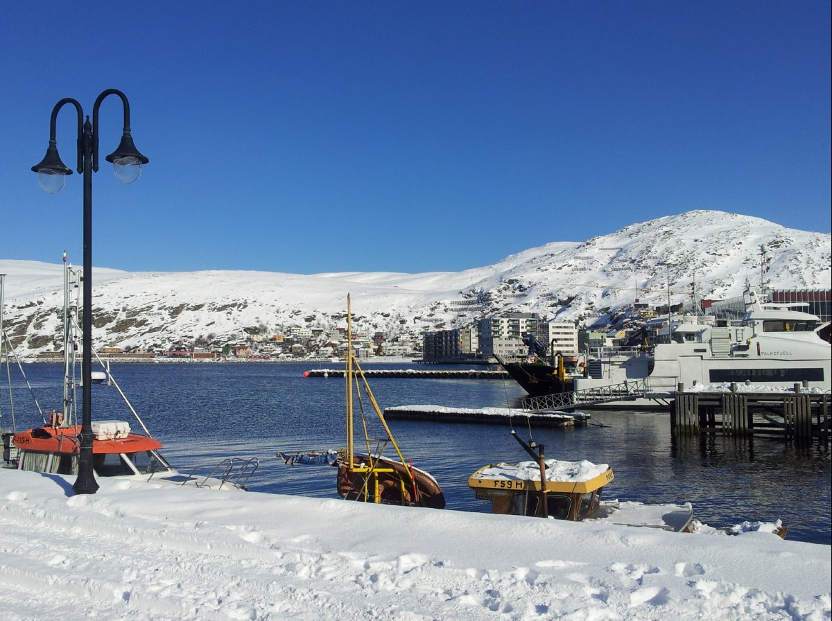 Hammerfest25
