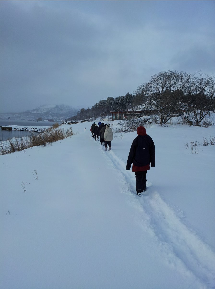 Harstad-Sortland17