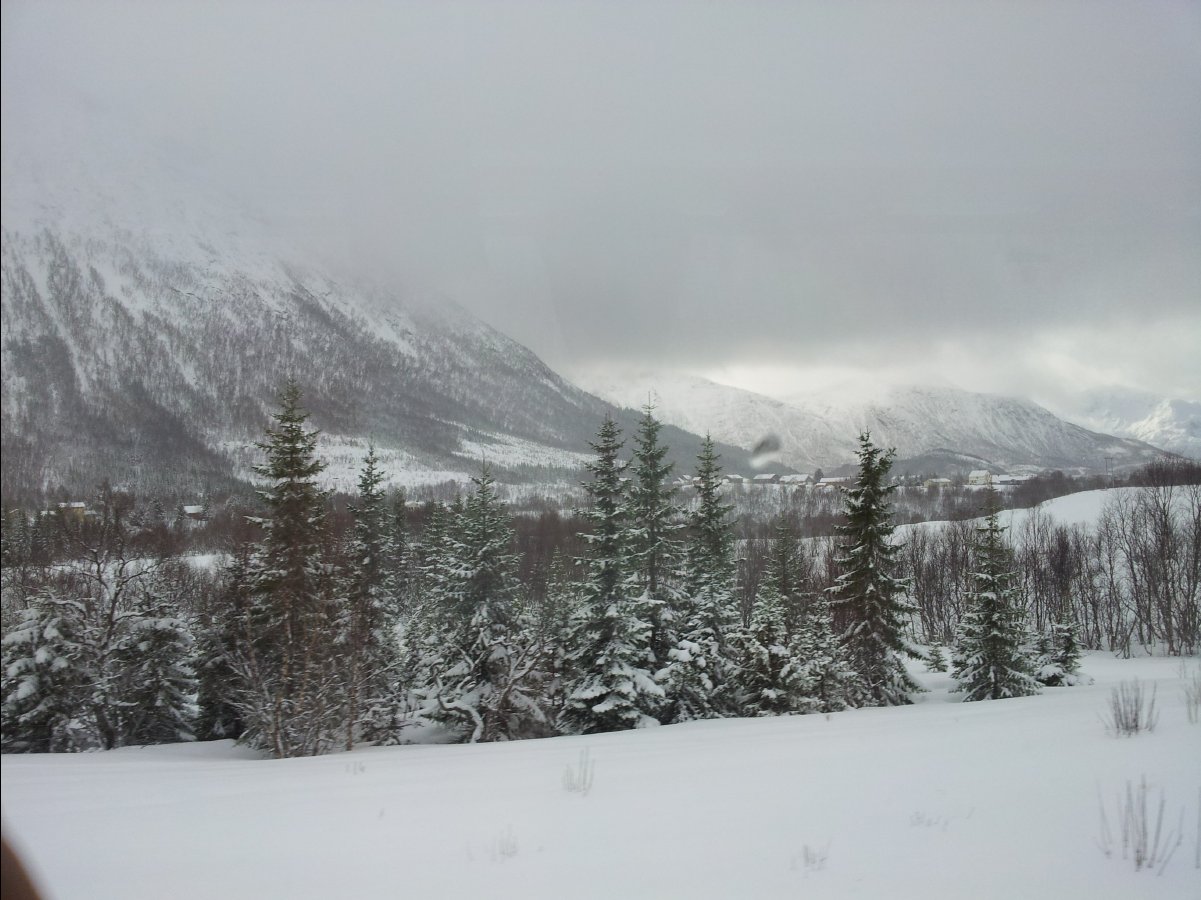 Harstad-Sortland43