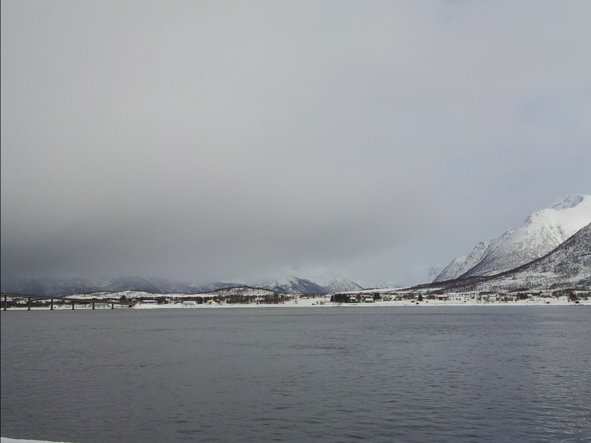 Harstad-Sortland57