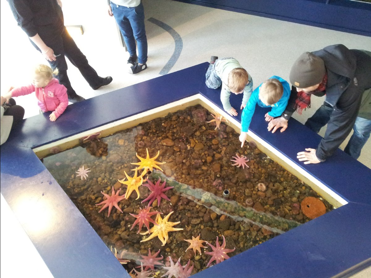 Aquarium01