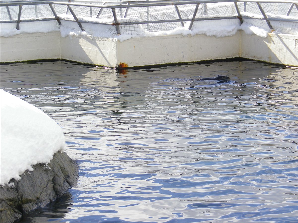 Aquarium12