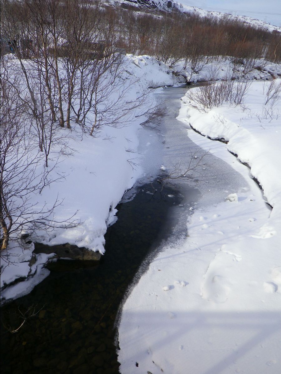 Kirkenes18