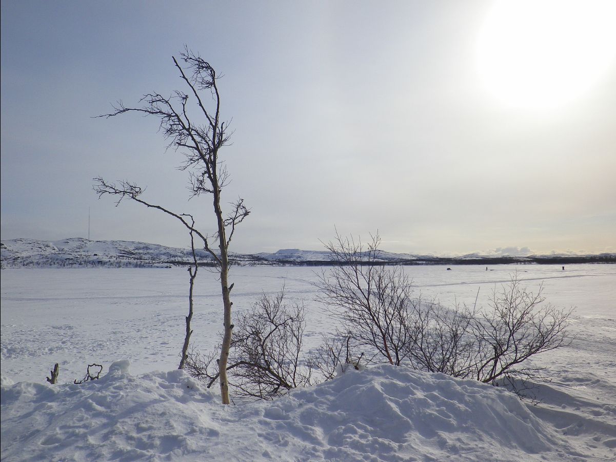 Kirkenes19
