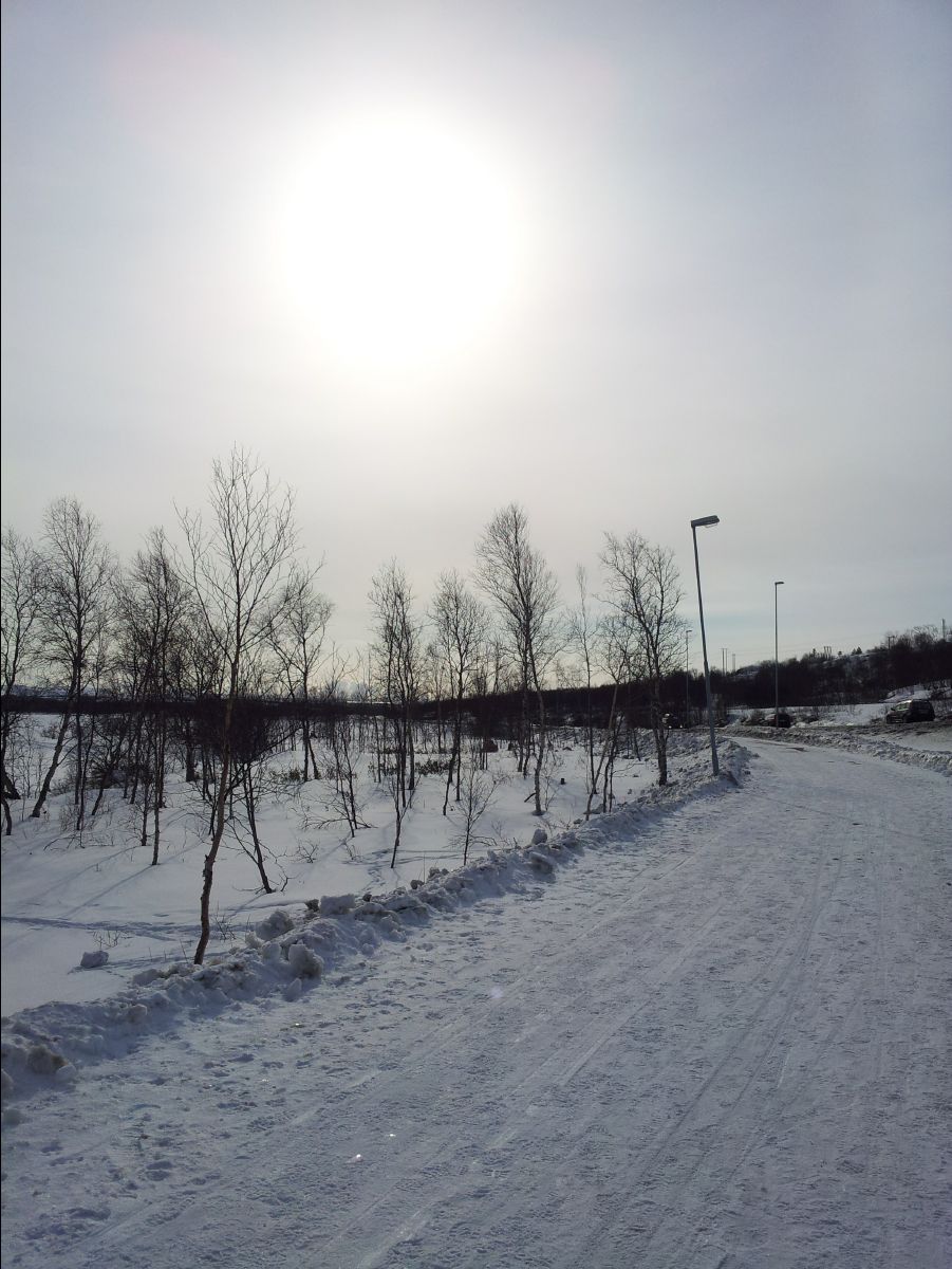 Kirkenes25