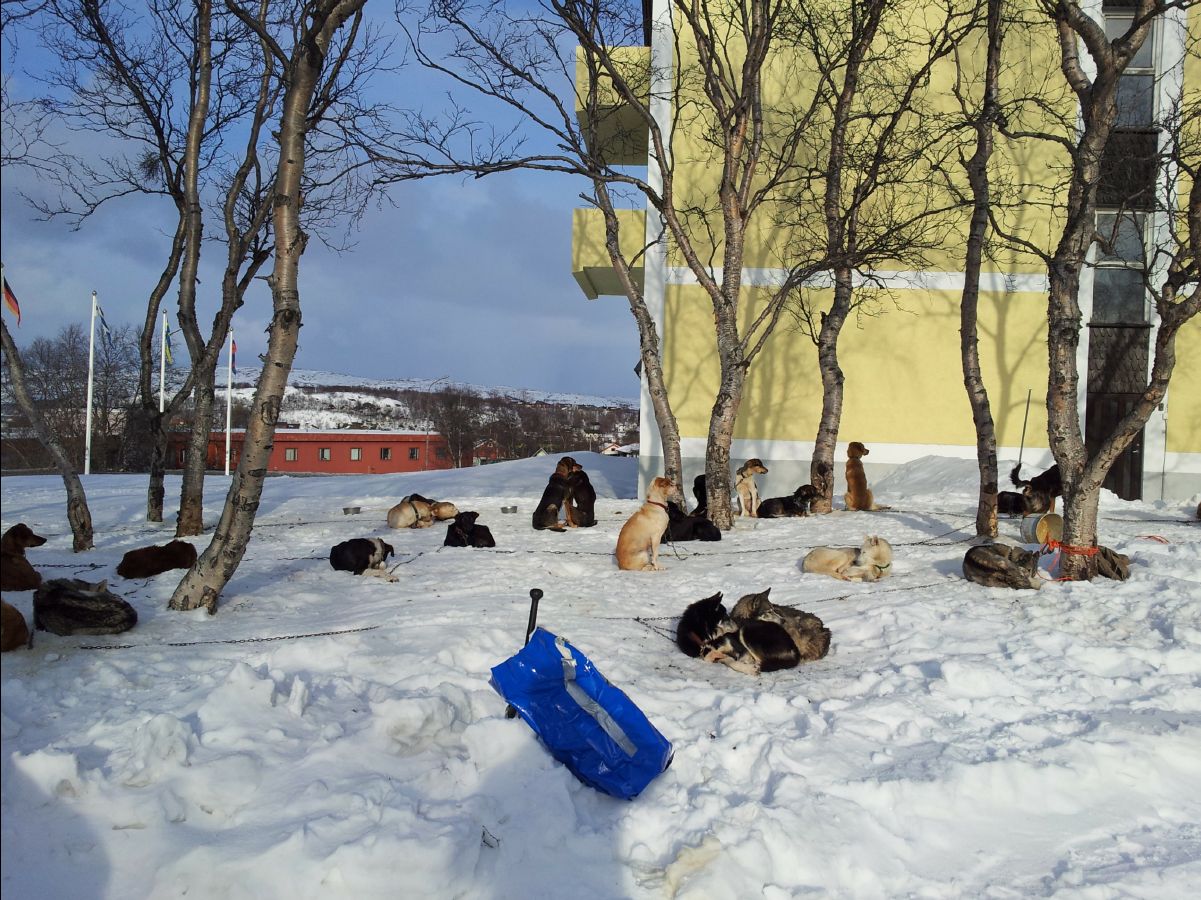Kirkenes27