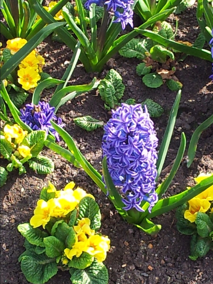 Kew_Garden020